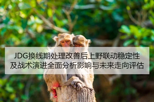 huan-xian-qi-chu-li-gai-shan-hou-shang-ye-lian-dong-wen-ding-xing-ji-zhan-shu-yan-jin-quan-mian-fen-xi-ying-xiang-yu-2-689.jpg